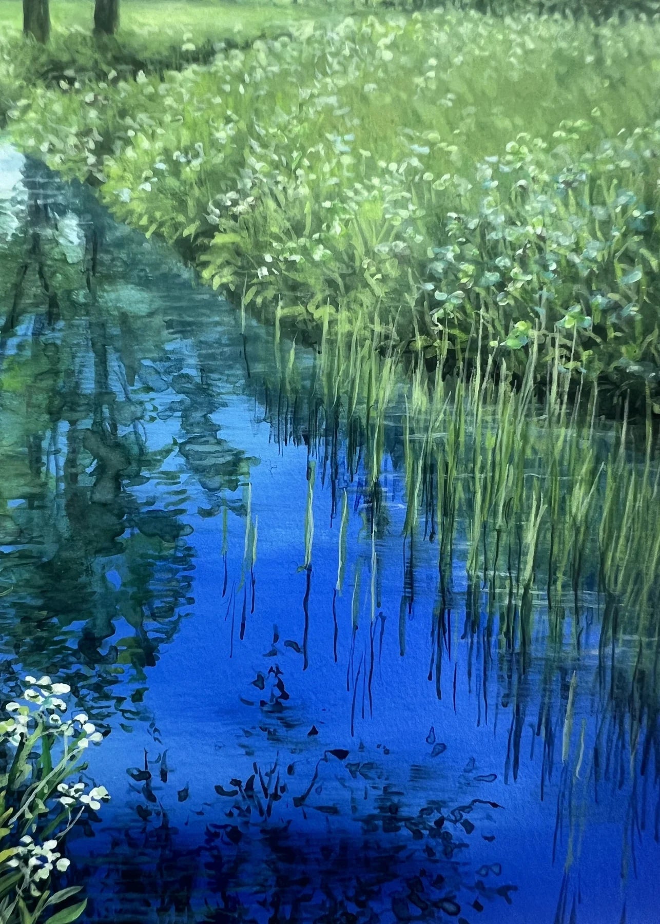 “シリーズ 水面(原画)”